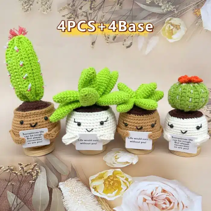 Cute Desk Cactus