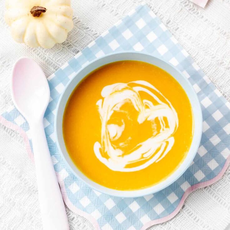Image for Easy Pumpkin Soup for Babies, Toddlers and Kids